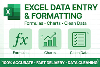do urdu and english typing and excel data entry