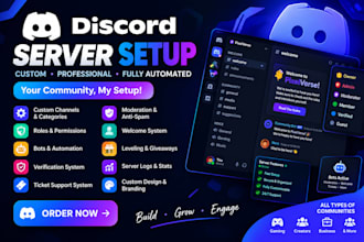 setup a professional custom discord server with bots and rol