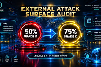 do an external attack surface easm audit for dns tls and http