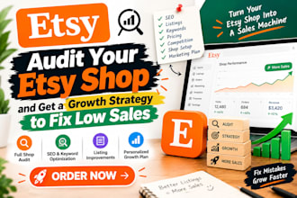 audit your etsy shop and get a growth strategy to fix low sales
