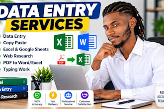 accurate data entry and typing work