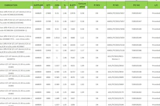do accurate excel data entry and formatting