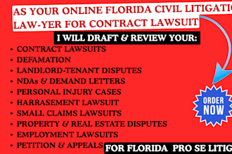do civil florida litigation lawyer for employment business contract lawsuits