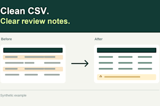 clean your CSV and deliver excel with duplicates and review notes