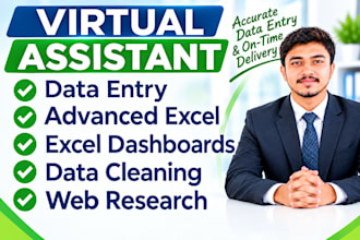 do advanced excel data entry and analytics