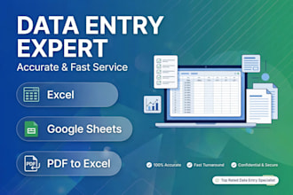 do data entry, excel entr