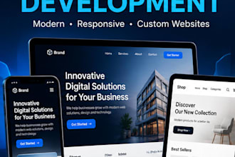 develop a professional website or web application