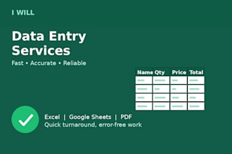 do fast and accurate data entry in excel or google sheets