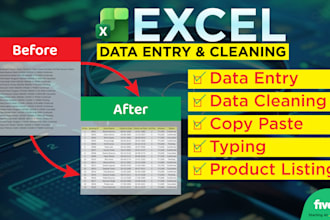 do professional data entry and data cleaning in excel