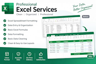 create and format professional excel spreadsheets