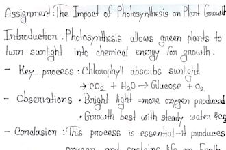 do english and bangla handwriting , assignment and notes