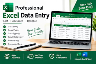 do accurate data entry in microsoft excel