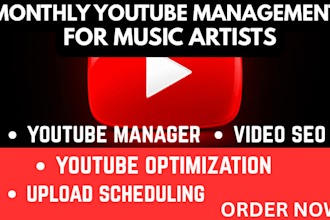 provide monthly youtube management and video SEO for music artists