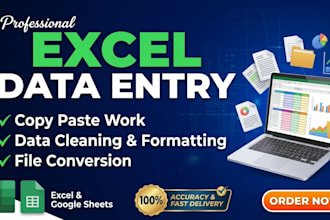 do expert excel data entry and copy paste work
