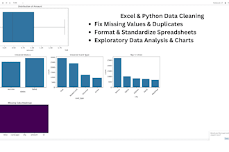 do professional excel data cleaning, formatting, and validation