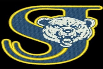 embroidery, digitizing, punching, high quality work