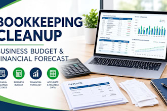 clean up bookkeeping records and create a business budget and financial forecast