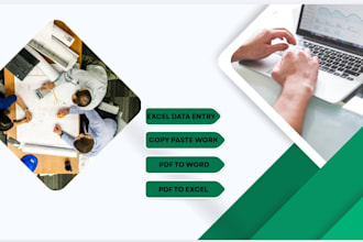 do excel data entry, copy paste and PDF to excel or word