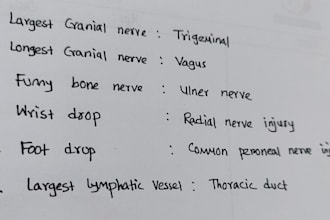 write anything with my beautiful handwriting