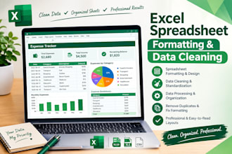format clean and professionally design your excelspreadsheet