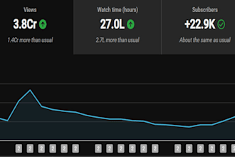do youtube SEO, channel audit and growth strategy