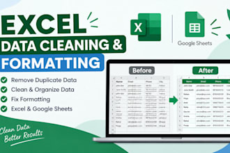 excel data entry, cleaning and formatting