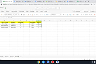 do professional data entry google sheet and excel