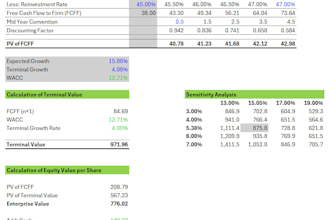 create financial models, dcf valuation, and excel analysis