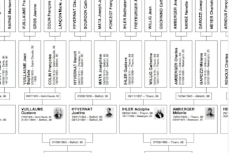 do your french family tree