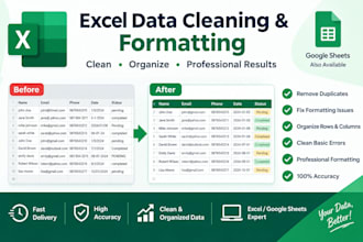 clean and format excel spreadsheets professionally