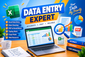 do professional data entry and excel spreadsheet work