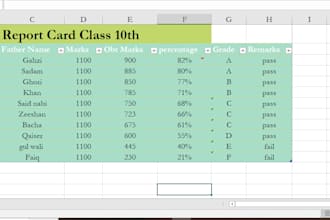create professional spreadsheets and data entry