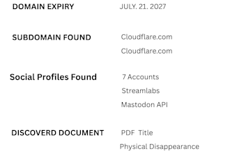 do professional osint background check and internet research