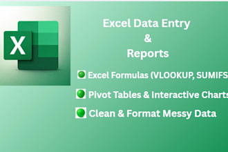do excel data entry, formatting, and data cleanup