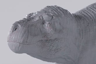 create a realistic 3d creature or monster