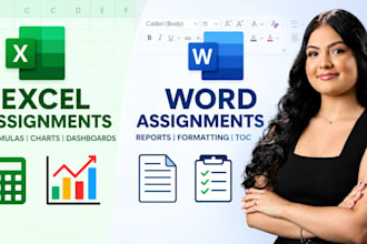 do ms word, excel, powerpoint, and access assignments professionally