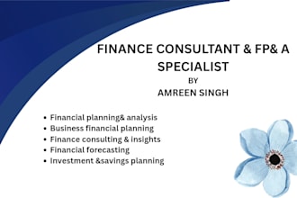 do financial analysis, financial modeling, budgeting and excel reports