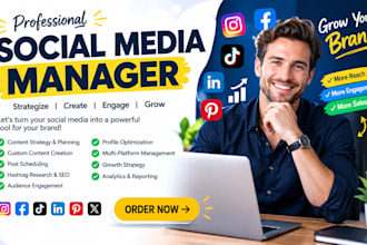 do social media manager strategy content creation and ugc ads creation for brand