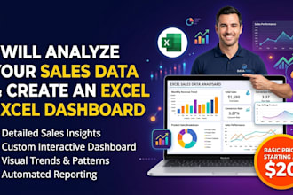 analyze your sales data and create an excel dashboard