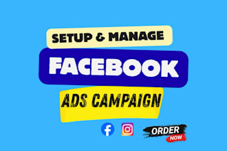 create and manage facebook and instagram ad campaigns