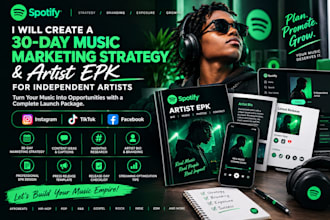 create 30 days music strategy artist epk design for independent artist marketing