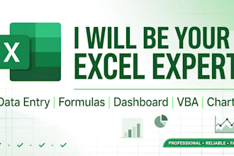 be your excel expert for data entry, formulas, charts, dashboards, vba