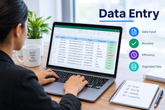 do expert data entry and microsoft excel formatting