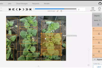 do image annotation data labeling bounding box text tagging