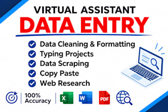 do data mining ,data scraping and any tape of  typing job
