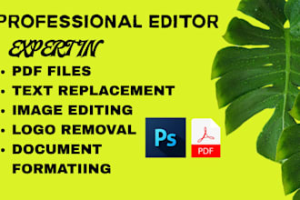 do professional editing for your image, text or document