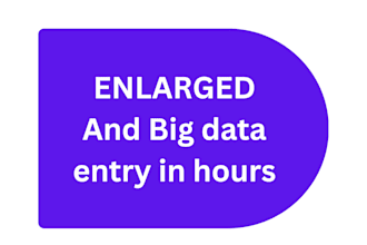 do enlarged and big data entry for you in few hours