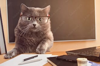 comment on and edit your creative or critical writing