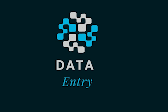 data entry data collection excel data entry