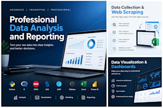 deliver professional data analysis and reporting